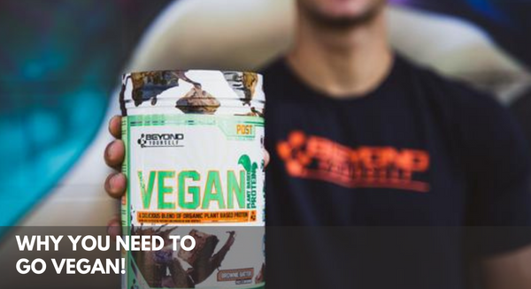 Why You Need to Go Vegan!