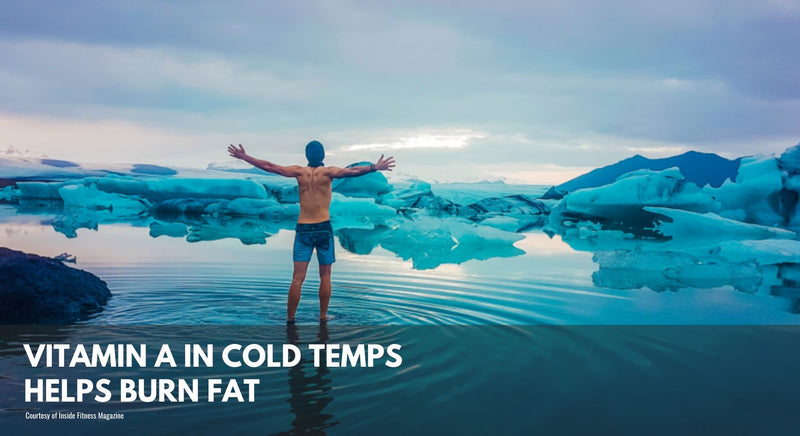 Vitamin A in Cold Temps Helps Burn Fat
