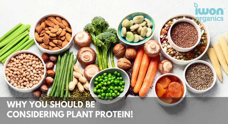 Why You Should Be Considering Plant Protein!