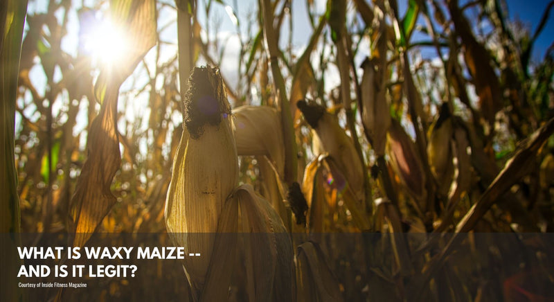 What is Waxy Maize -- and Is It Legit?