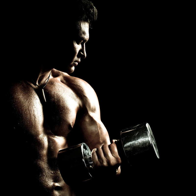Terrific Testosterone: The Key to Muscle Growth